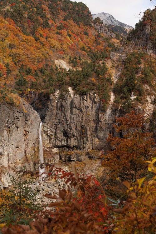 断壁に宿る紅葉と秋の白糸の滝の写真