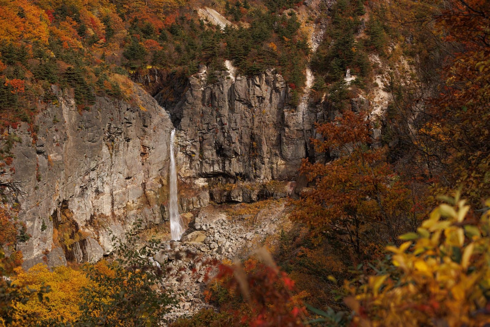 「白糸の滝の秋、断壁と紅葉の美しい共鳴」の写真