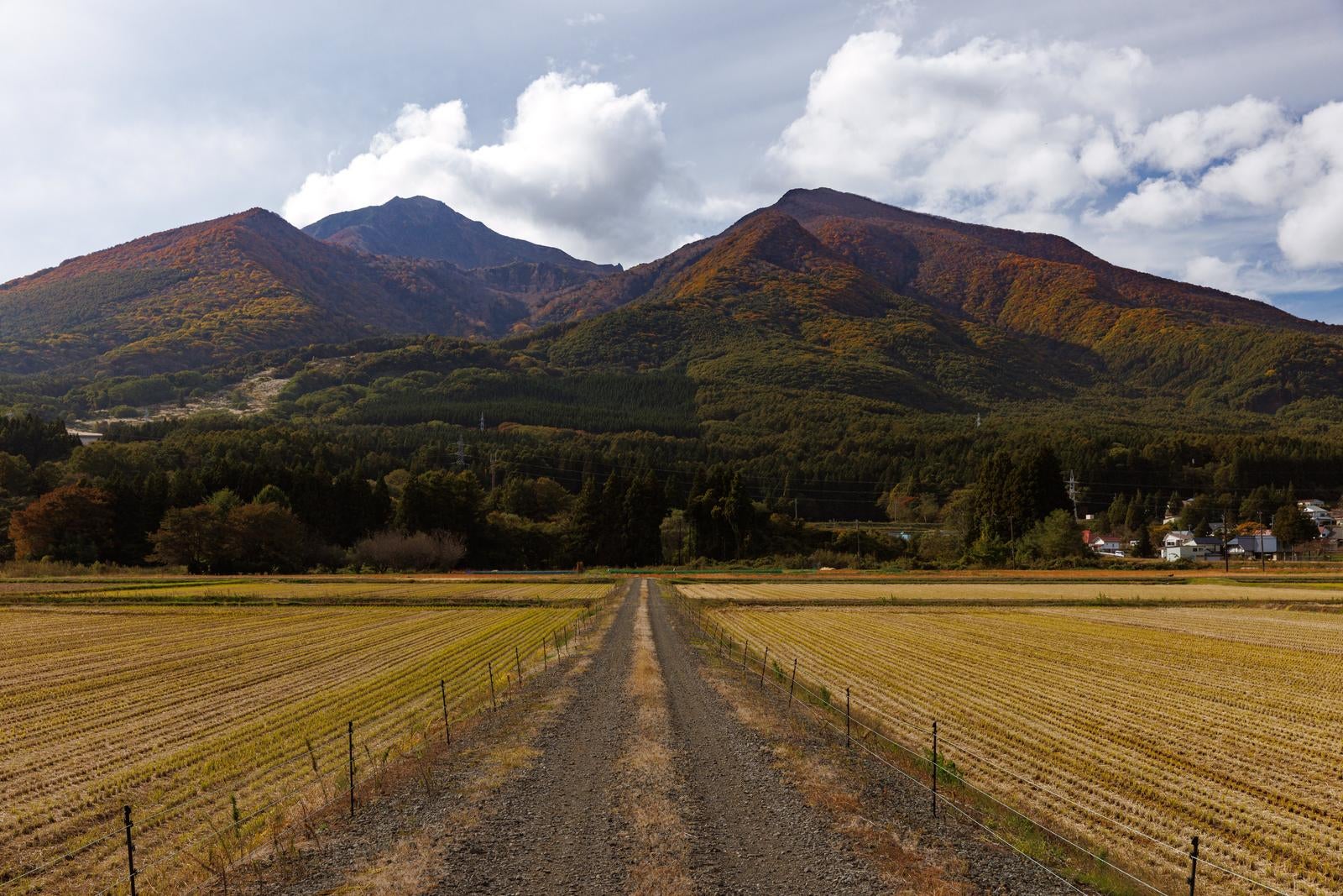 「収穫後の田園風景の静けさと裏磐梯登山口」の写真