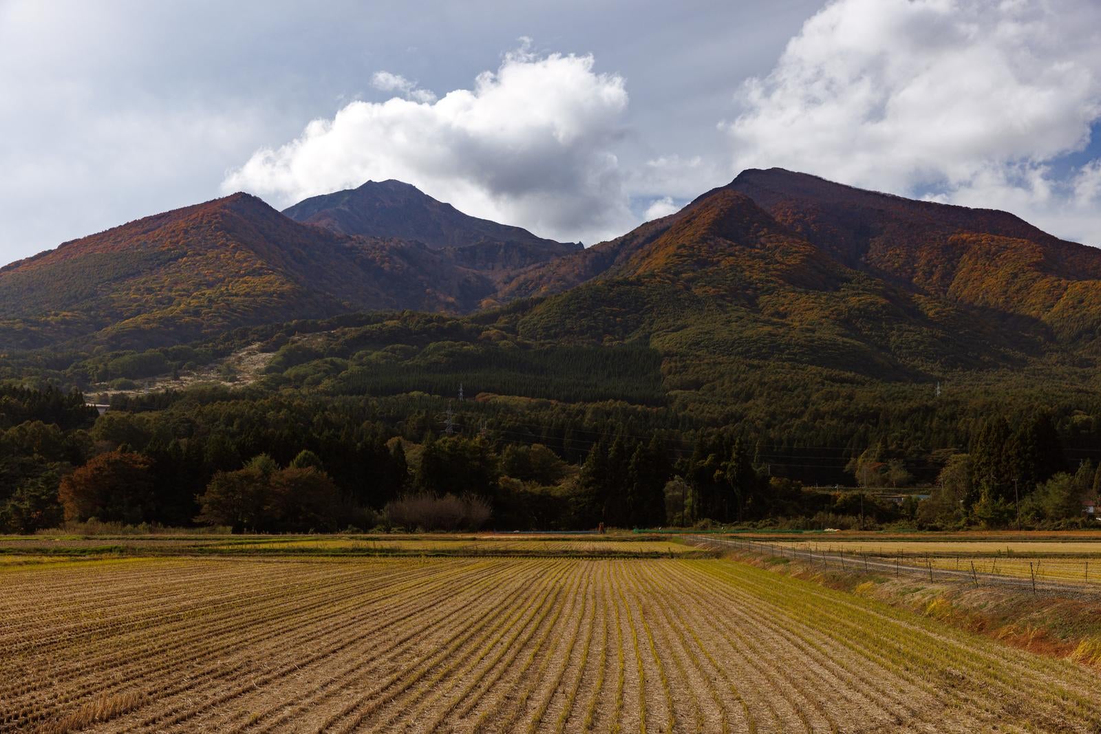「稲刈り後の田んぼの先に聳える紅葉の磐梯山」の写真