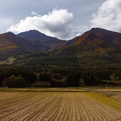 稲刈り後の田んぼの先に聳える紅葉の磐梯山の写真