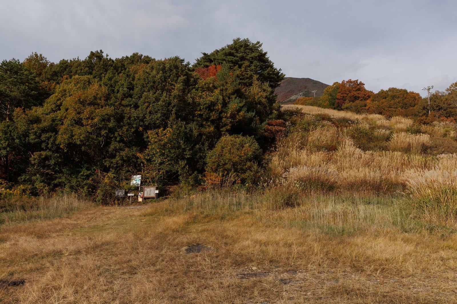 「磐梯山への入口、翁島登山口前に広がる草原」の写真