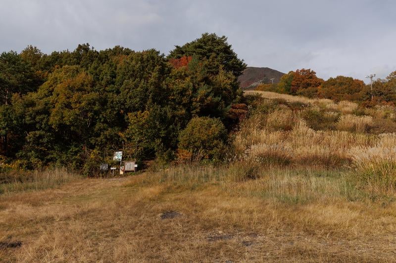 磐梯山への入口、翁島登山口前に広がる草原の写真