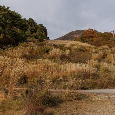 翁島登山口の草原の写真