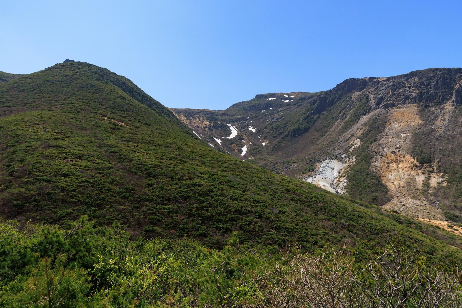「勢至平から眺める新緑と遠景の雪渓」の写真