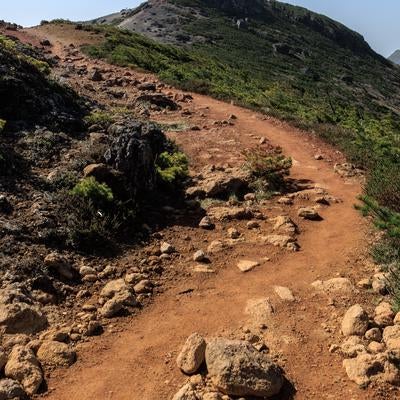 安達太良山の新緑、登山道を彩る緑の写真