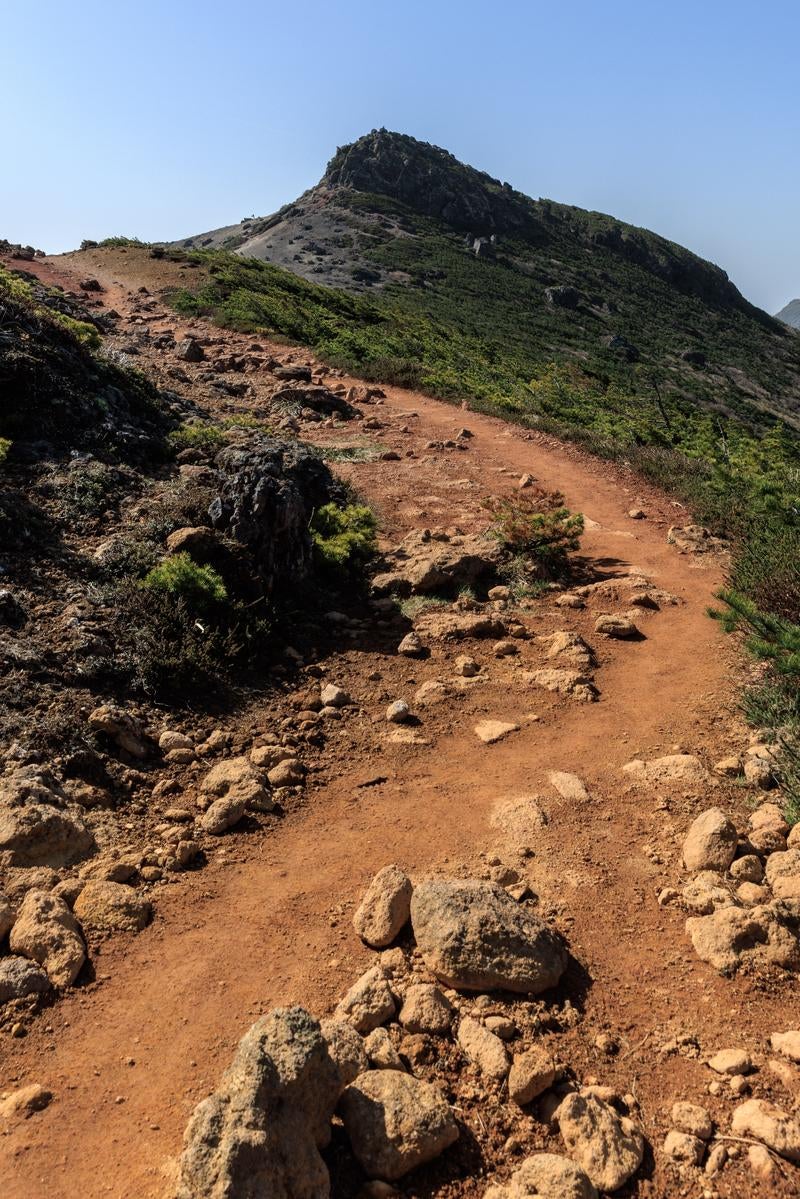 「安達太良山の新緑、登山道を彩る緑」の写真