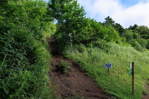 猪苗代登山口から始まる磐梯山の山道の写真