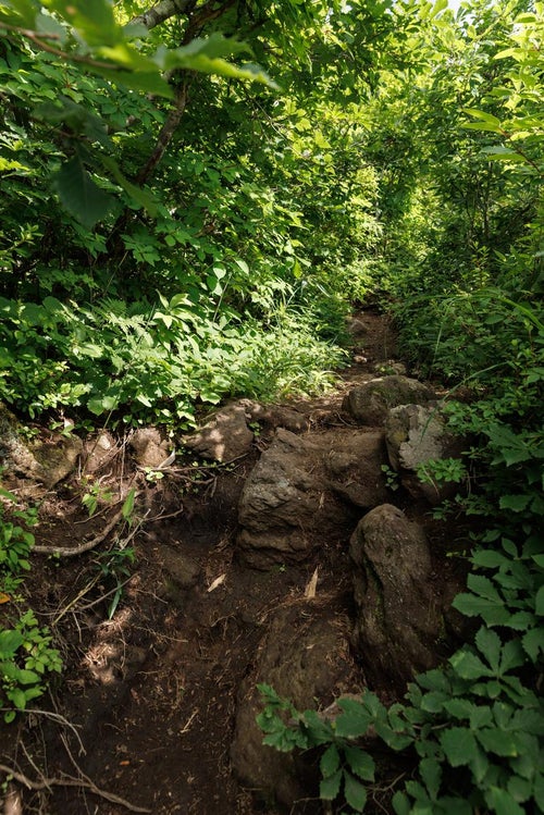 猪苗代登山口から磐梯山へ続く登山道の写真