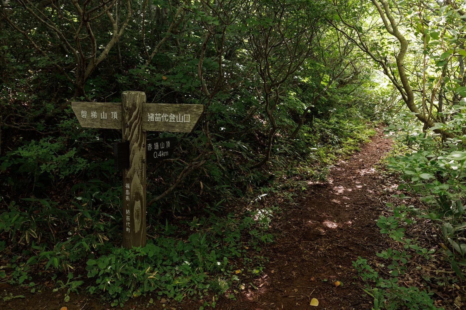「磐梯山猪苗代登山口、指導標が示す安全な登山道」の写真
