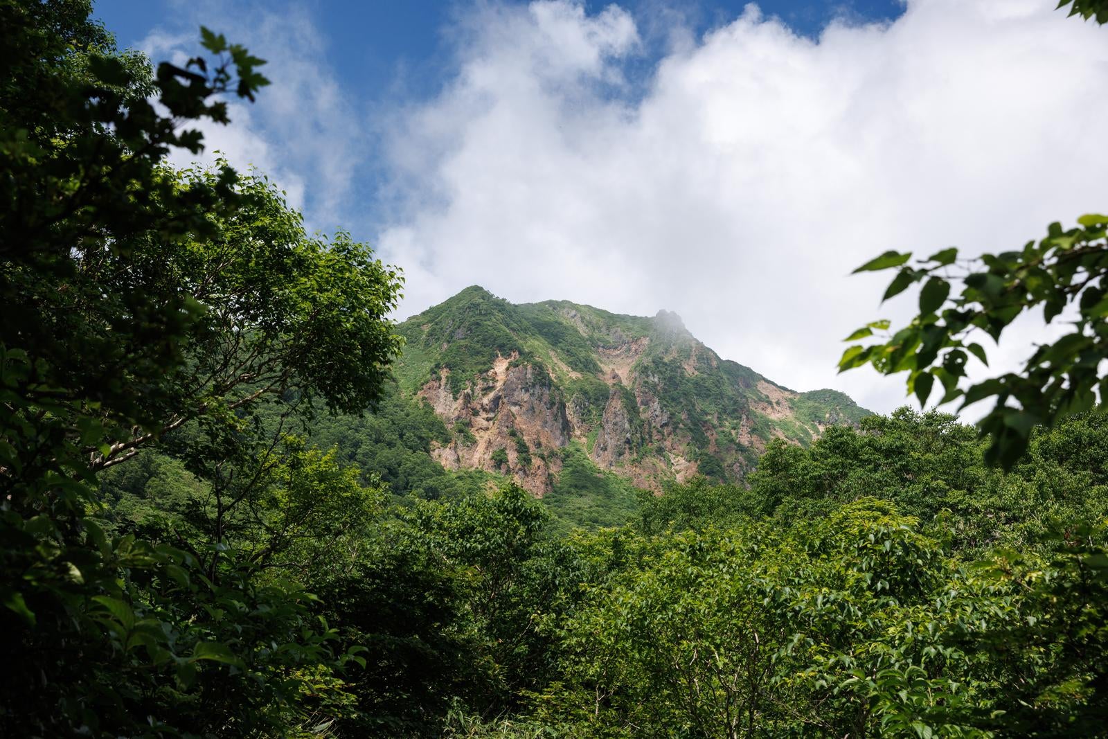 「茂み深い登山道から見上げた磐梯山」の写真