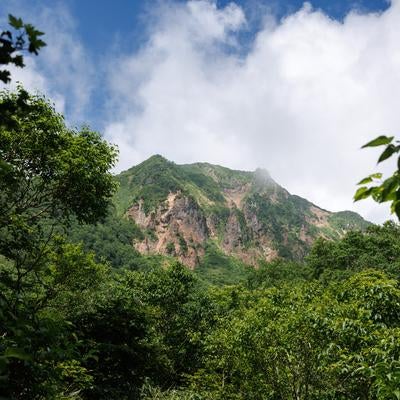 茂み深い登山道から見上げた磐梯山の写真