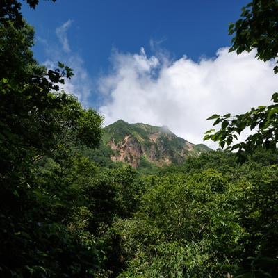 自然の中から顔を出す磐梯山の写真