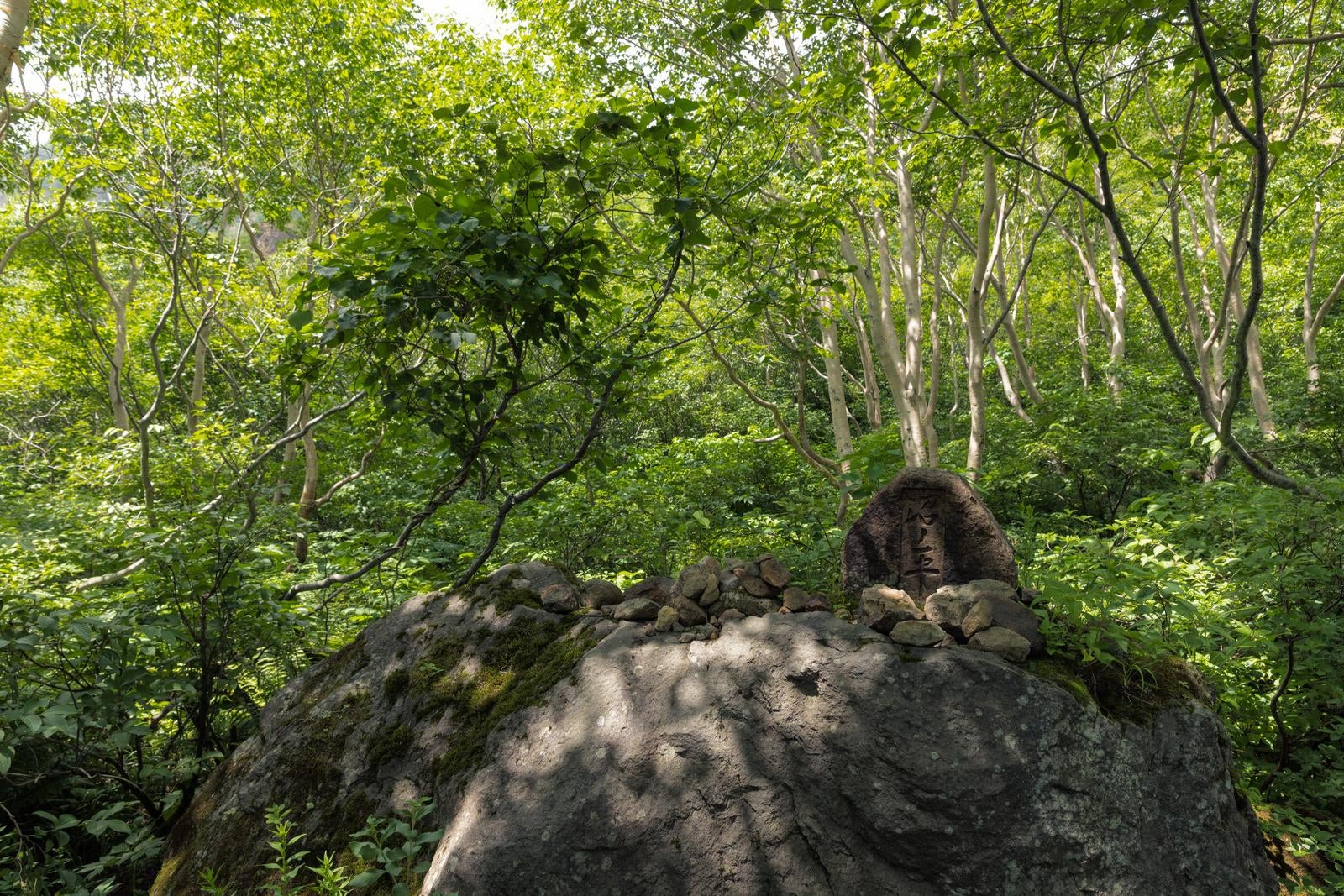 「自然に抱かれる沼ノ平の碑」の写真