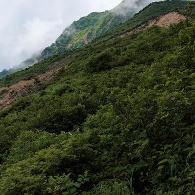 磐梯山の自然の魅力、猪苗代登山口からの山肌の写真