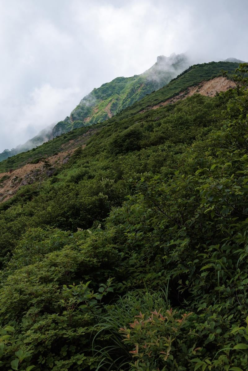 「磐梯山の自然の魅力、猪苗代登山口からの山肌」の写真