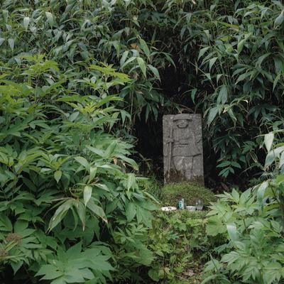 猪苗代登山口の石碑、磐梯山の木々に守られた歴史の写真