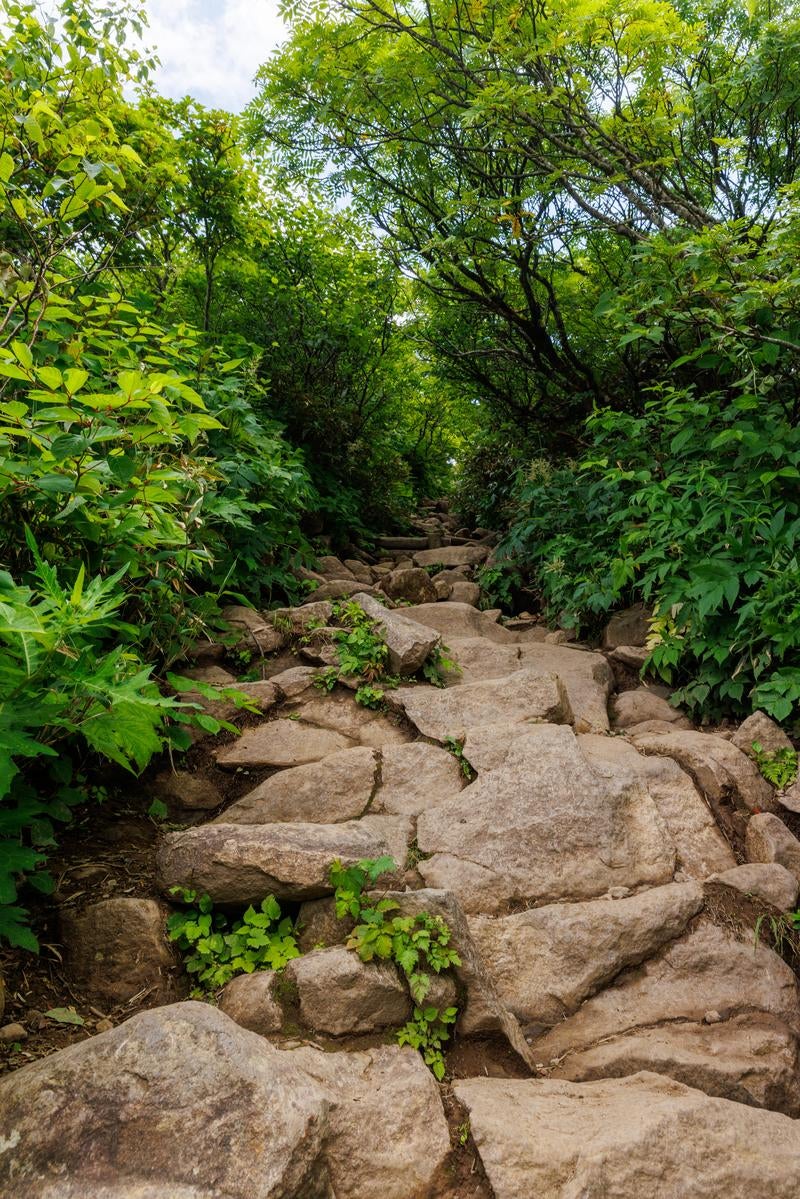 「猪苗代登山口から磐梯山の頂へ続く岩のパスウェイ」の写真