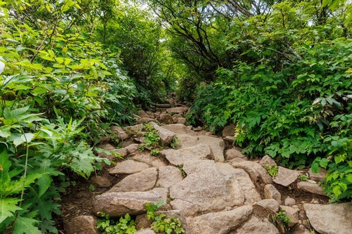 猪苗代登山口の冒険、岩で覆われた磐梯山のトレイルの写真