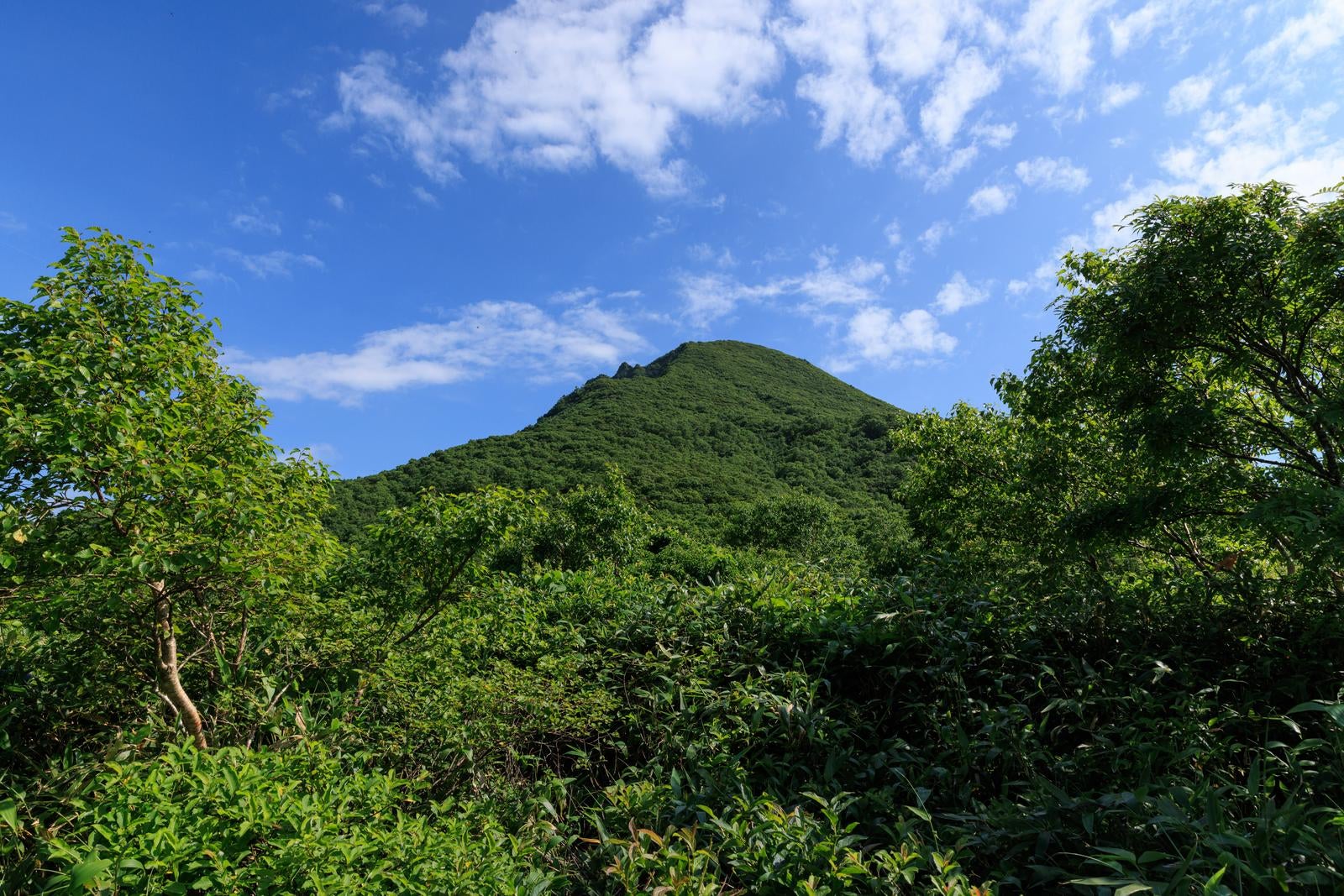 「磐梯山八方台の自然と共に」の写真