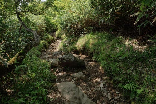 磐梯山八方台登山口からの足跡の写真