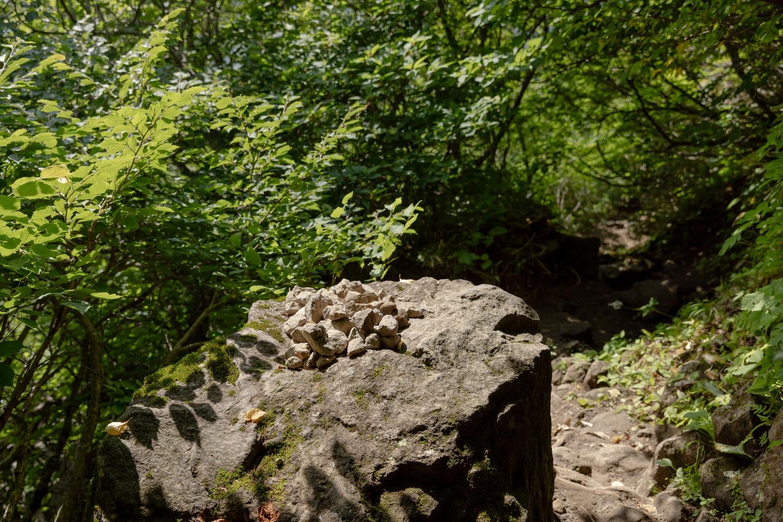 「磐梯山の自然豊かな登山道脇のケルン」の写真