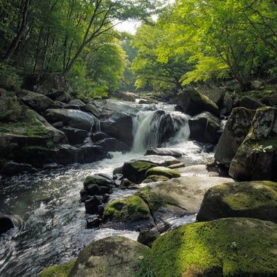 山鶏滝の渓流と苔むした岩場 福島県平田村の自然風景の写真