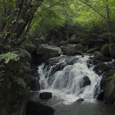 渓流の水流が彩る岩場と山鶏滝の写真