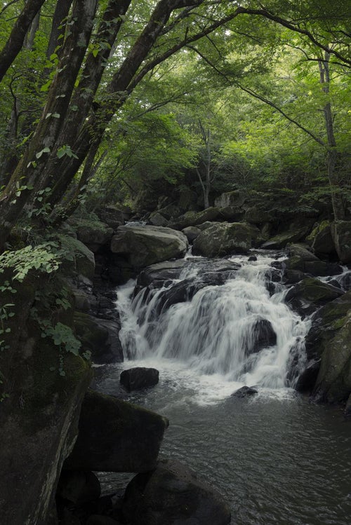 渓流の水流が彩る岩場と山鶏滝の写真