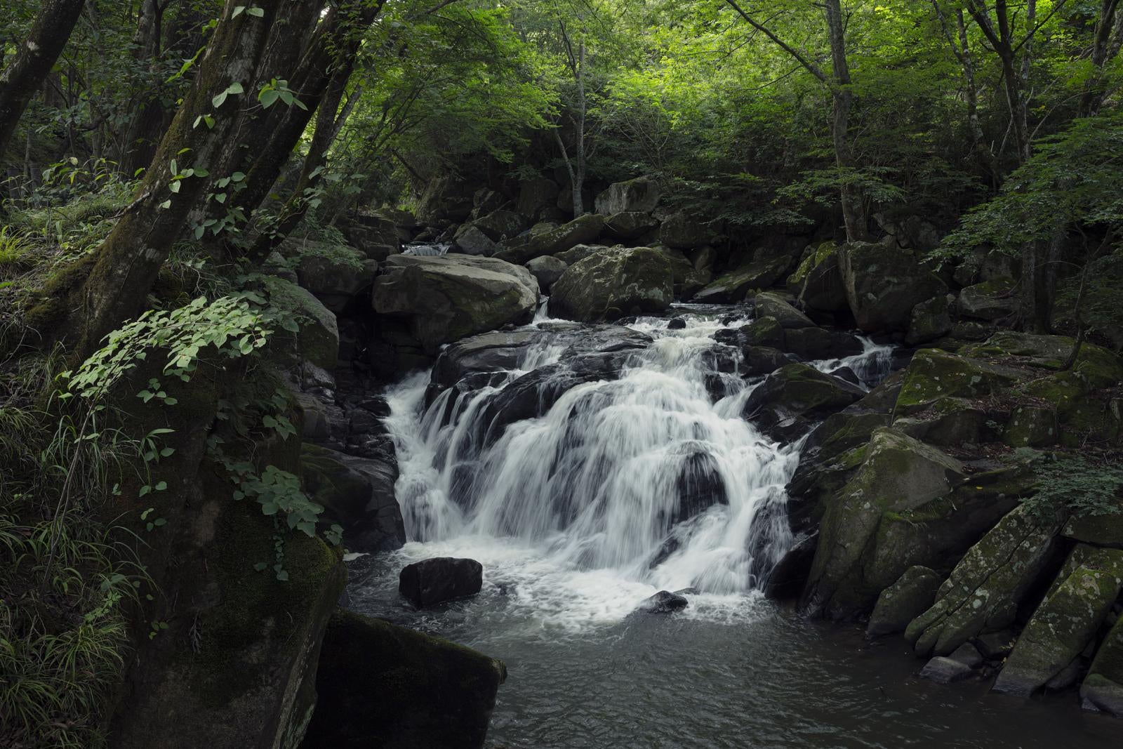 「渓流と岩場が調和する山鶏滝」の写真
