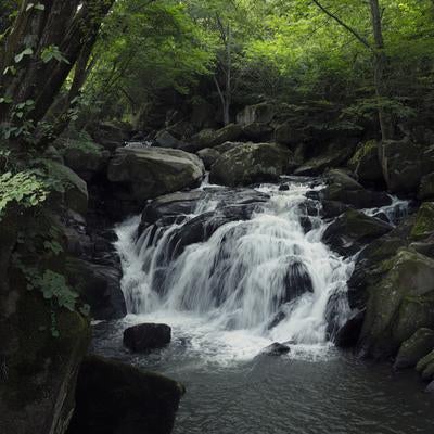 渓流と岩場が調和する山鶏滝の写真