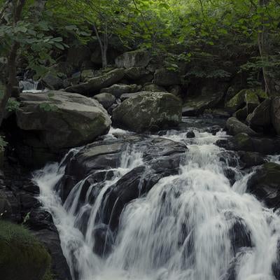 新緑に包まれた山鶏滝の渓流、苔むした岩と白く泡立つ水流の写真