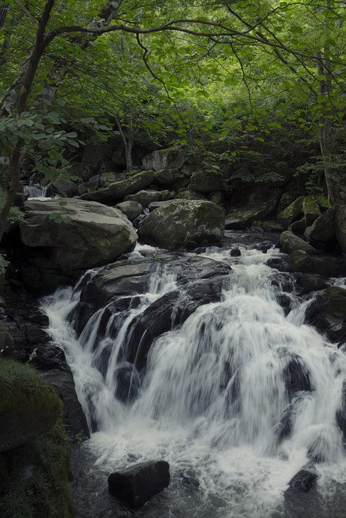 山鶏滝の渓流で感じる水の流れの写真
