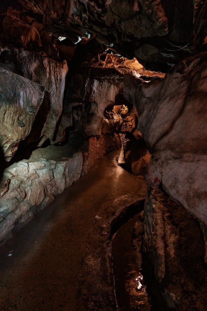 「濡れた廊下を通るあぶくま洞の探検」の写真