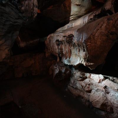 あぶくま洞の鍾乳石の洞内美の写真