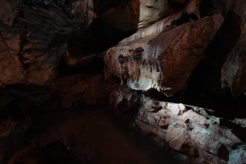 あぶくま洞の鍾乳石の洞内美の写真