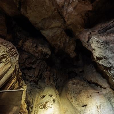 美しい立体的鍾乳石、あぶくま洞の自然の神秘の写真