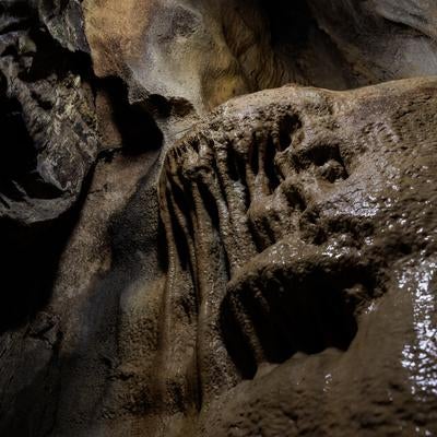 濡れた鍾乳石が織りなすあぶくま洞の洞内風景の写真