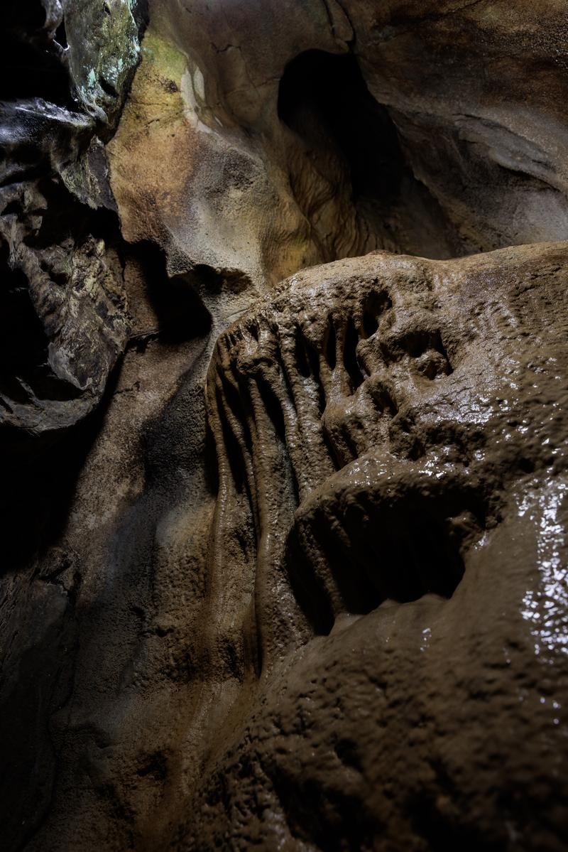 「濡れた鍾乳石が織りなすあぶくま洞の洞内風景」の写真