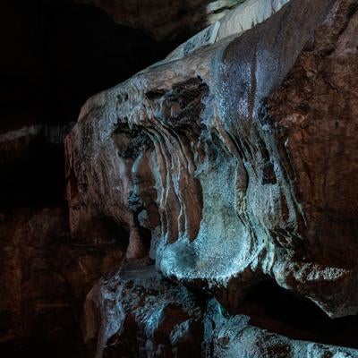 濡れた鍾乳石が映す洞内の輝きの写真