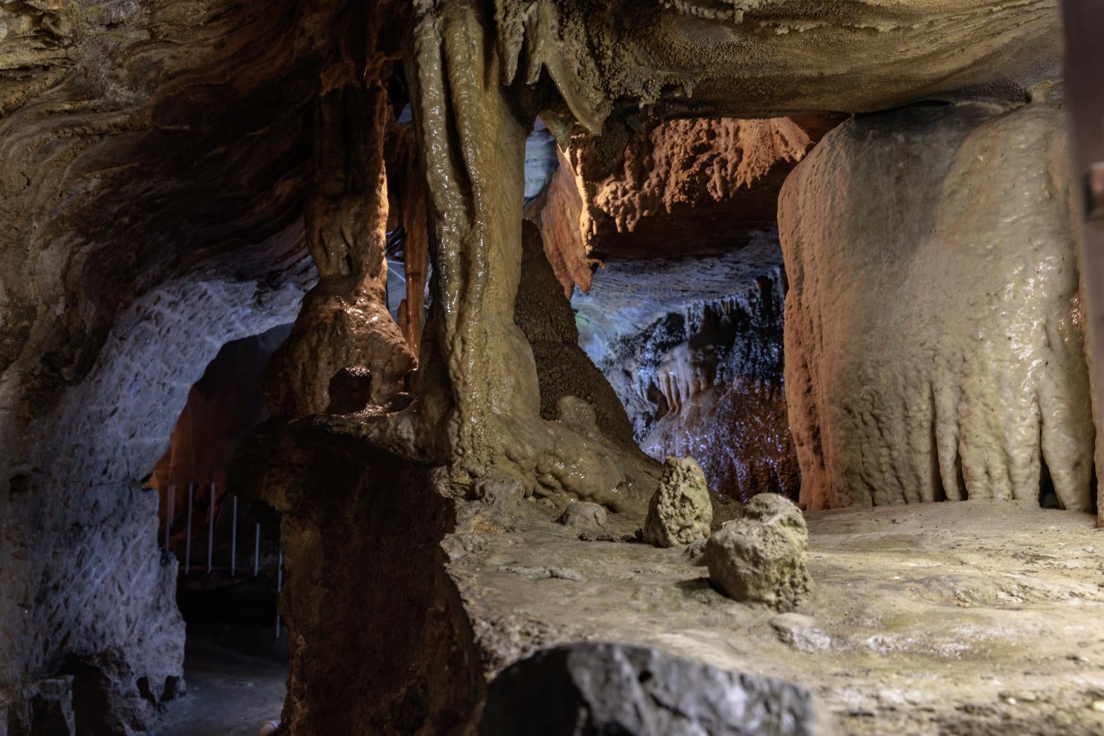 「濡れた洞内で語られる鍾乳石の神秘」の写真