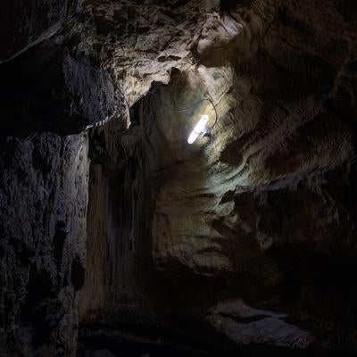 照明に照らされた鍾乳石の洞内の写真