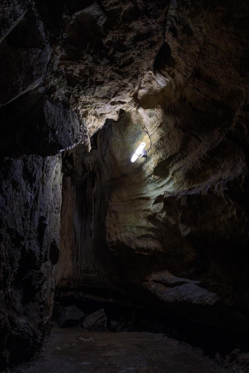 「照明に照らされた鍾乳石の洞内」の写真