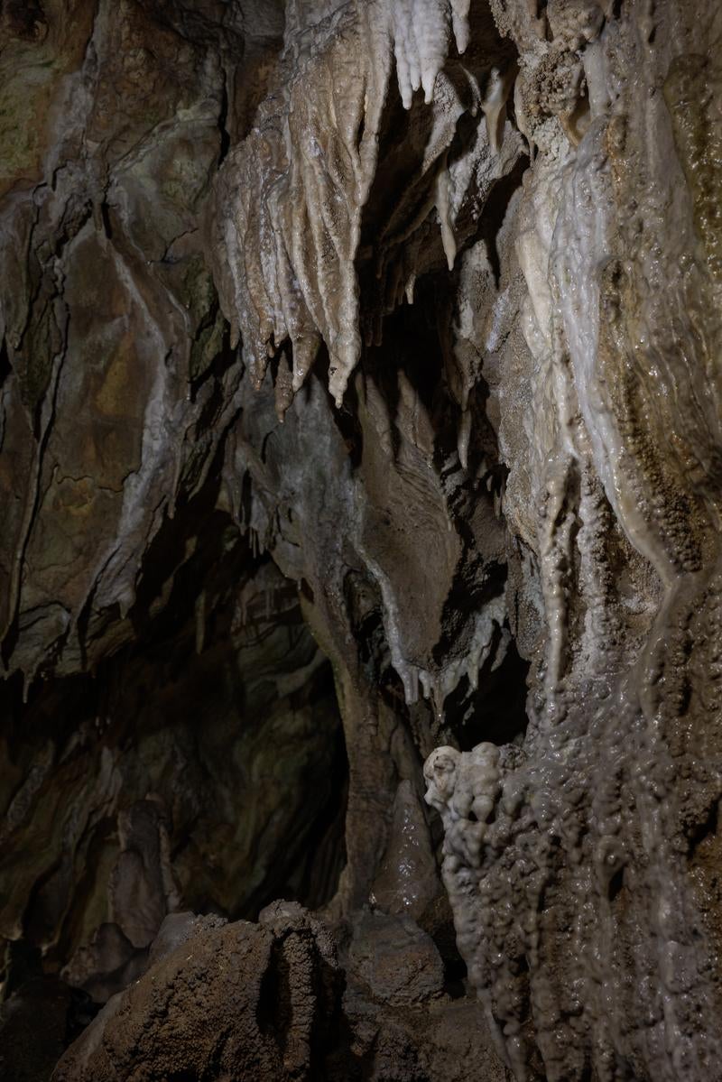 「照明によるあぶくま洞の鍾乳石の演出」の写真