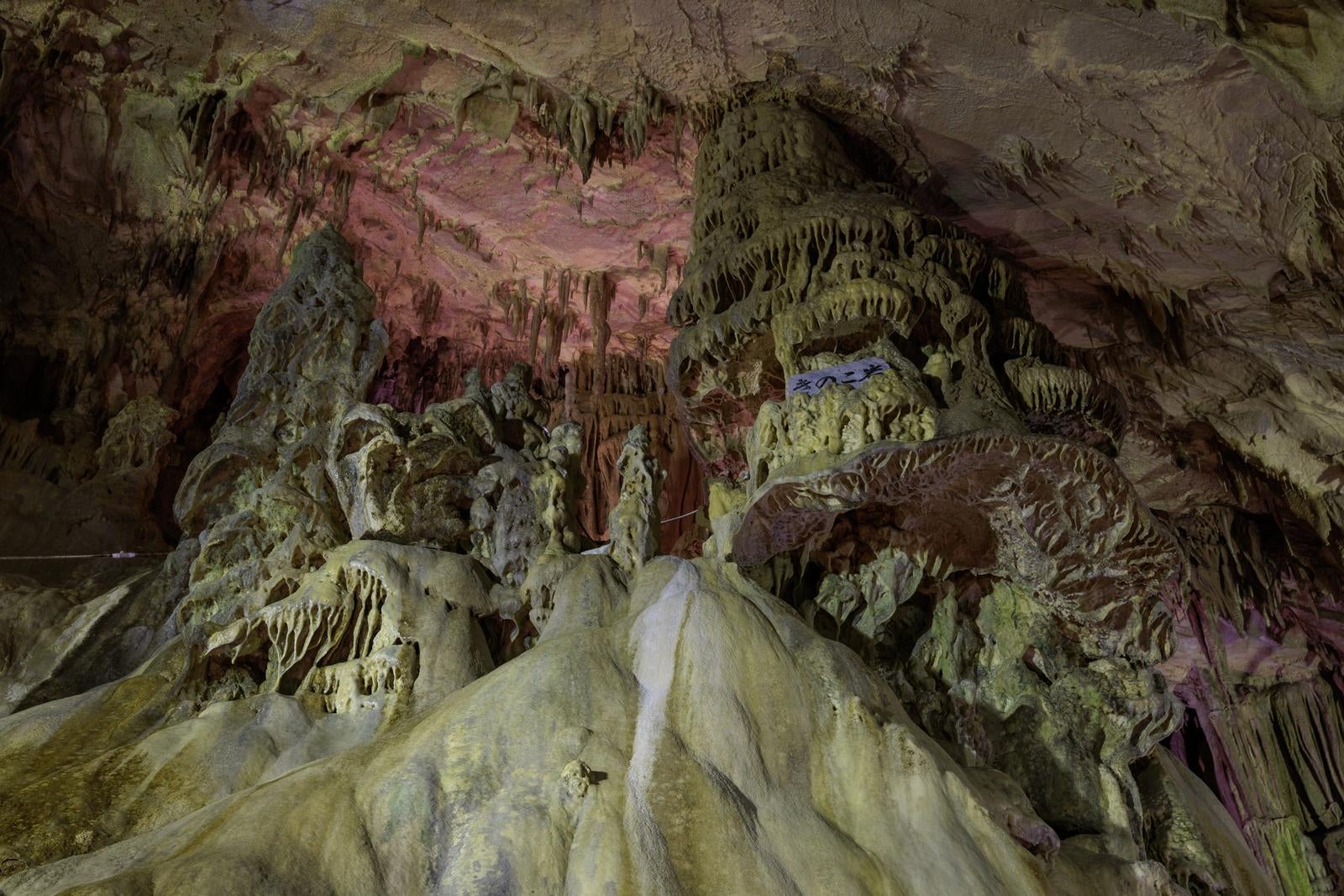 福島県あぶくま洞の洞内に形成された立体的な鍾乳石群