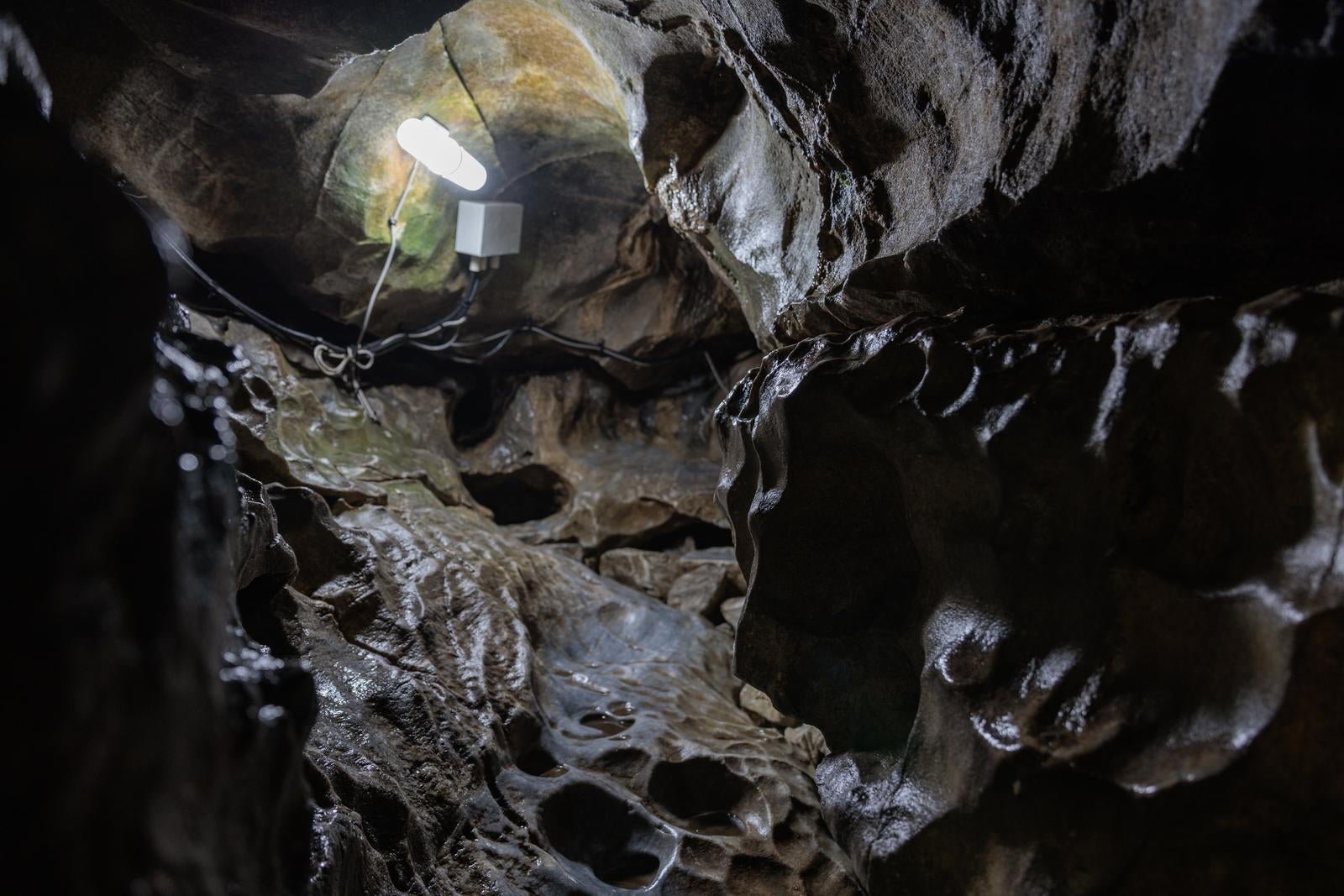 「入水鍾乳洞の洞内を照らす照明」の写真