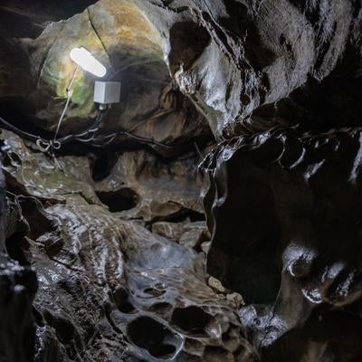 入水鍾乳洞の洞内を照らす照明の写真