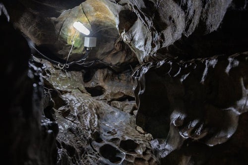 入水鍾乳洞の洞内を照らす照明の写真