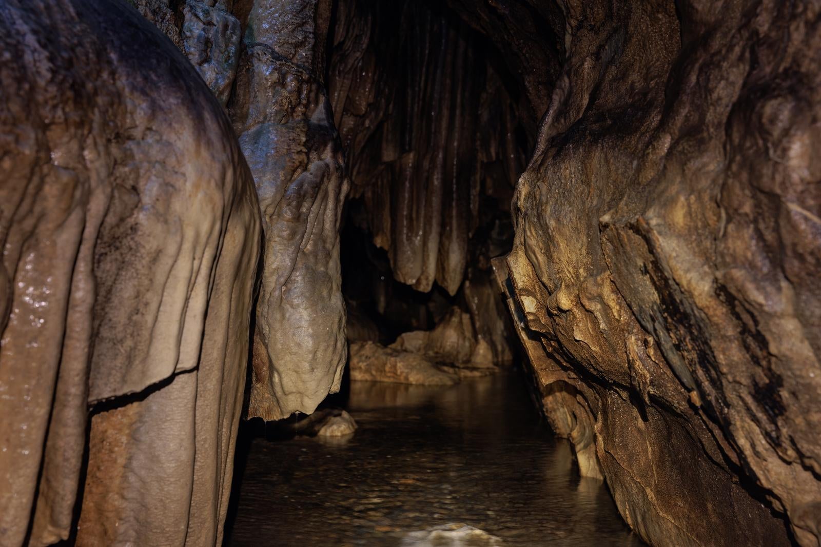 「入水鍾乳洞の洞内暗がりと地下水」の写真