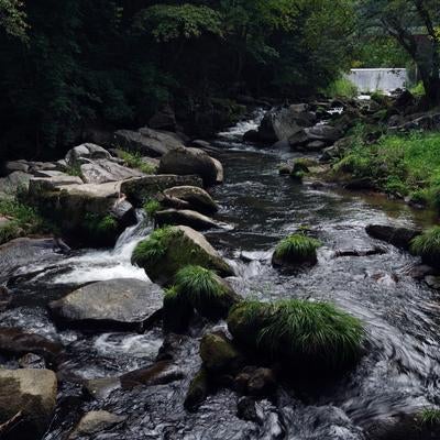山鶏滝の静かな渓流の写真